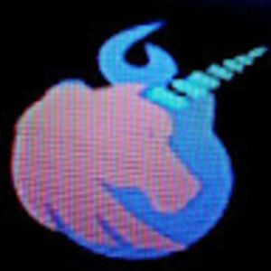 Meet your Posher, Jaxson